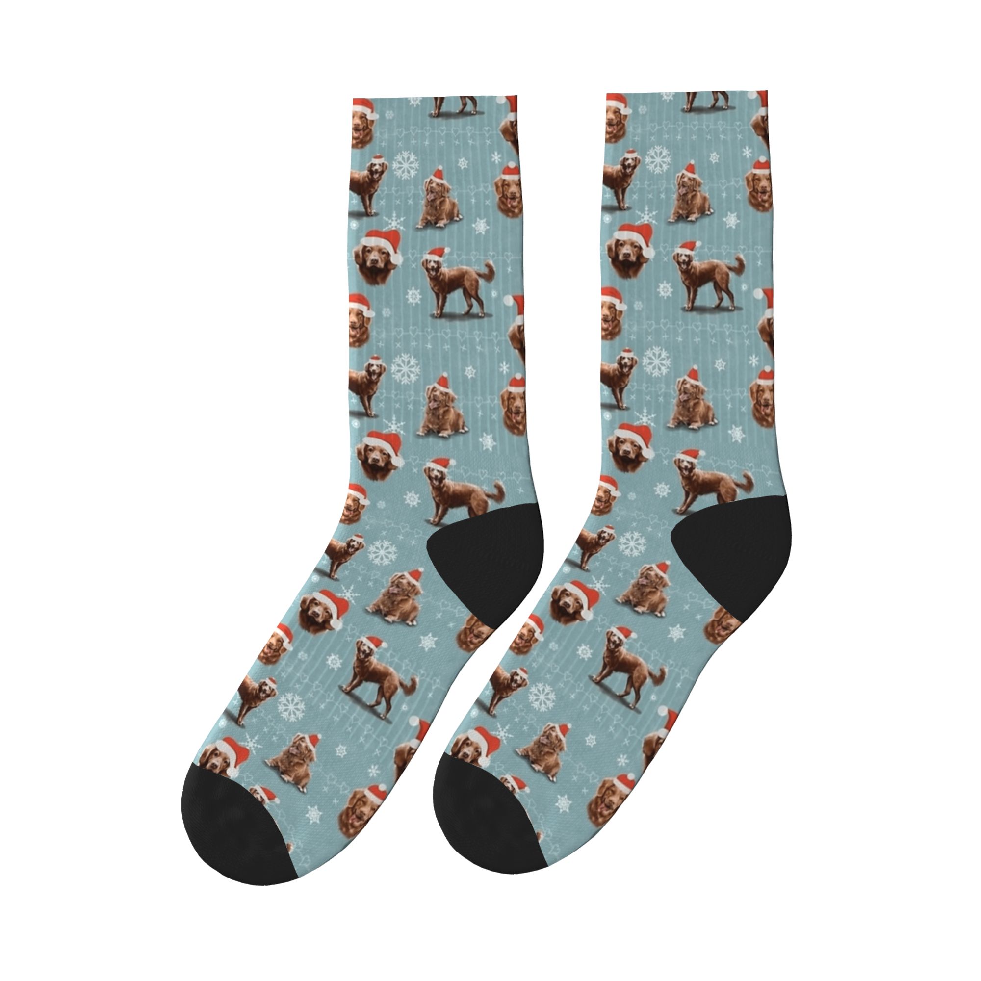 The Christmas Nova Scotia Duck - Men'S Fashion Nova recension och pris