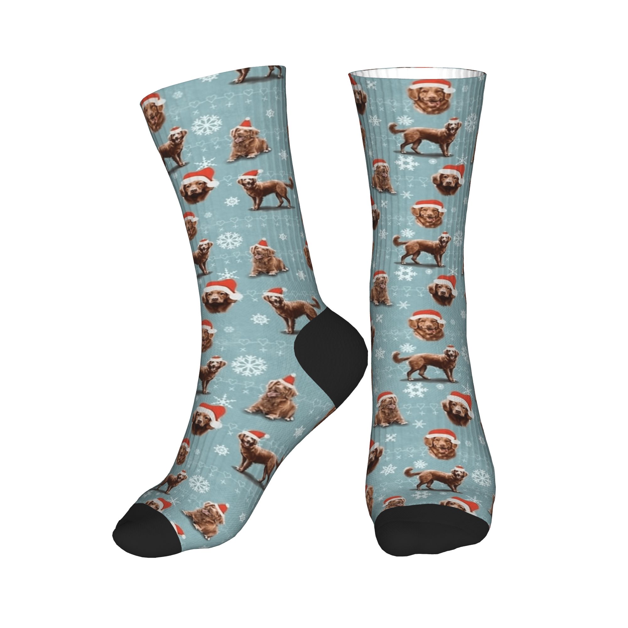 The Christmas Nova Scotia Duck - Men'S Fashion Nova recension och pris